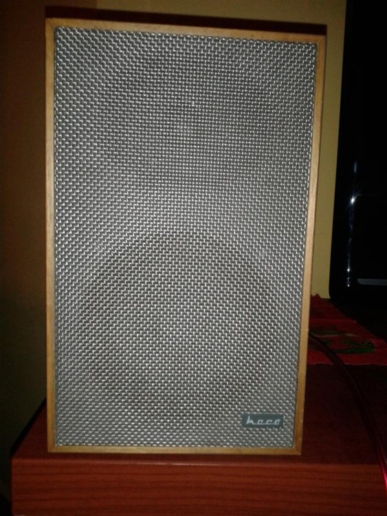 56b900e59977b.jpg