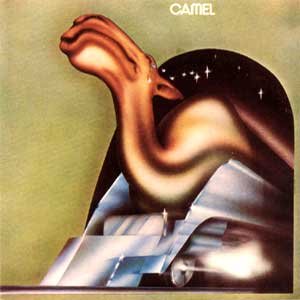 camel-camel.jpg