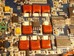 P7284202 (Large).JPG