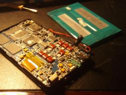 P7284187 (Large).JPG