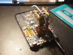 P7284213 (Large).JPG