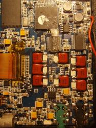 P7284196 (Large).JPG