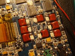 P7284184 (Large).JPG