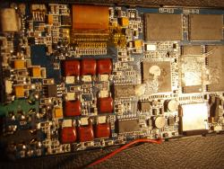 P7284186 (Large).JPG