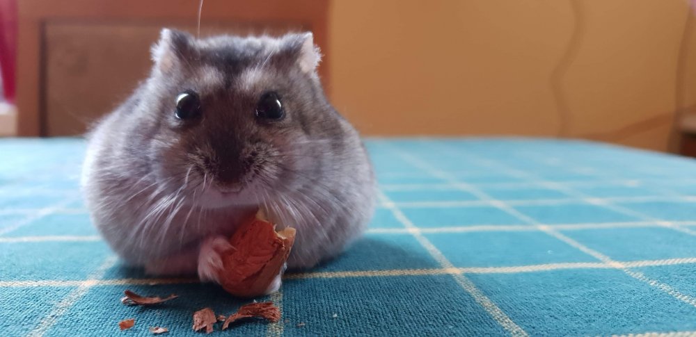 received_288783315728084 - Edited.jpg