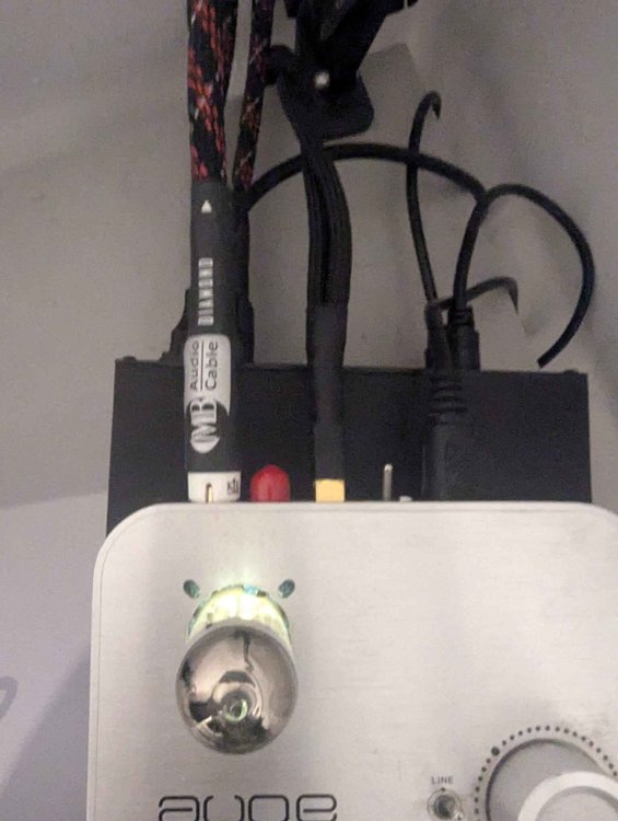 EARMen Diamond RCA.jpg